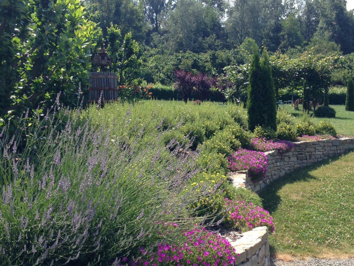 B&B Il Sogno Cossano Belbo Exterior photo